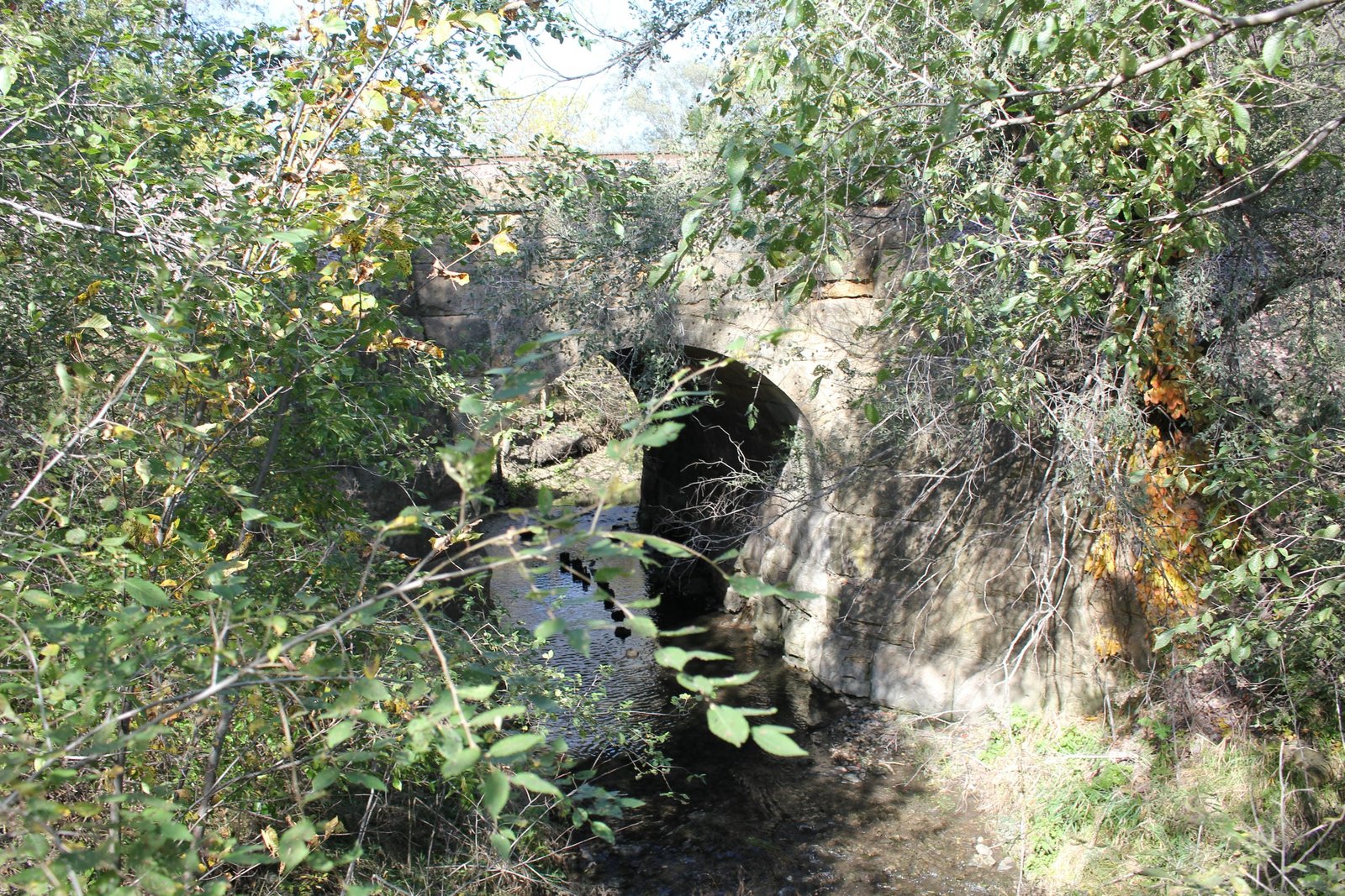 Overview